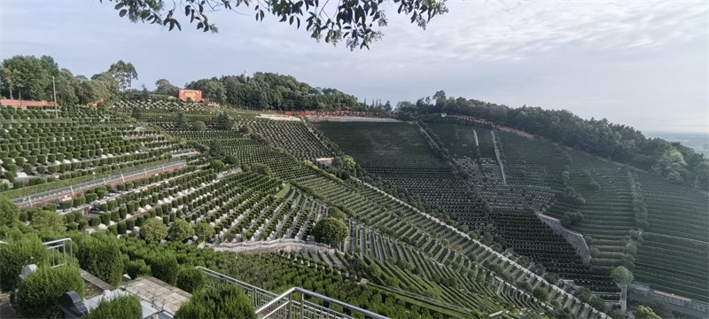 白塔山公墓园区景观