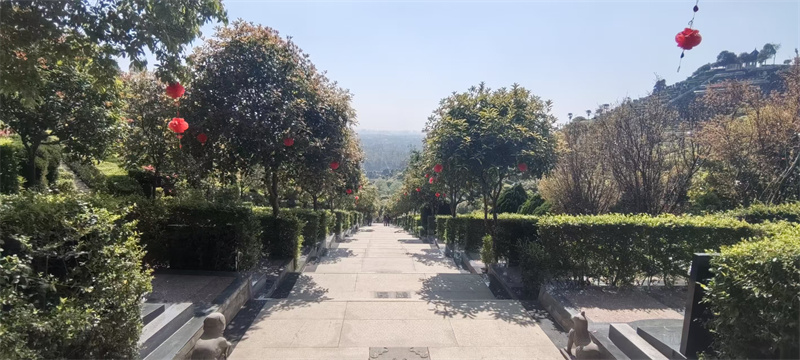 白塔山公墓园区景观