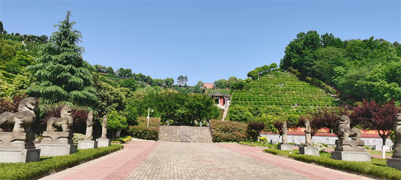 白塔山公墓园区景观