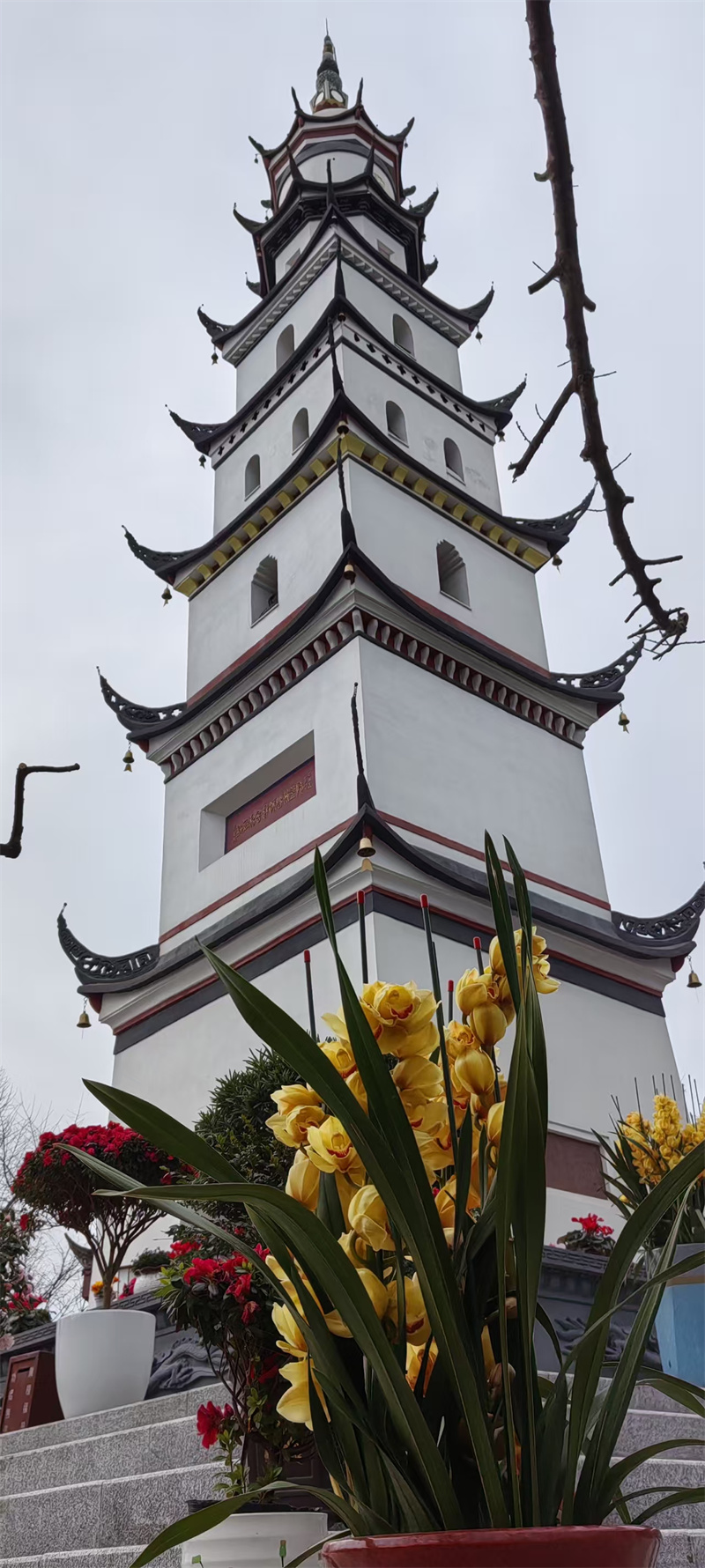 白塔山公墓园区景观