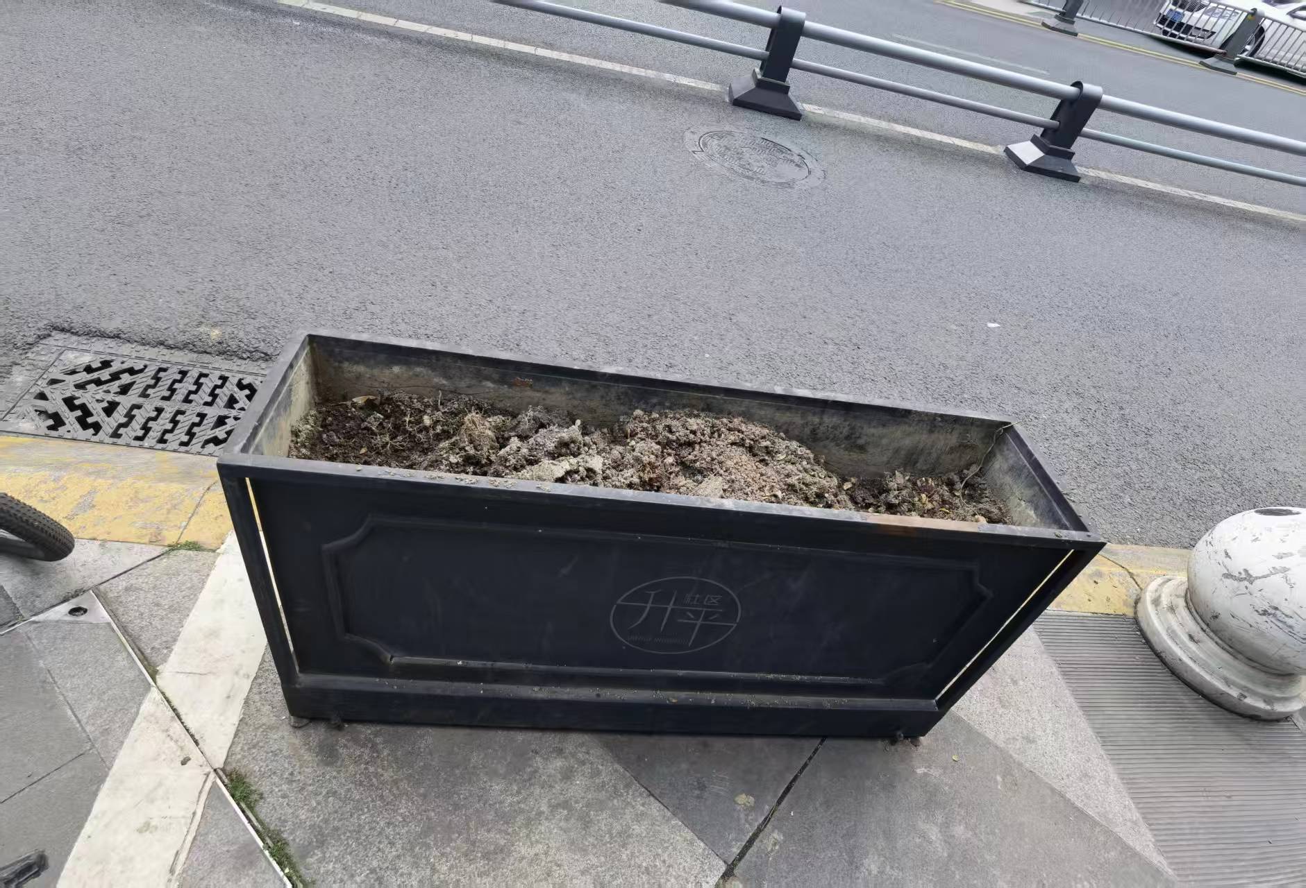 花卉栽培植物对比图