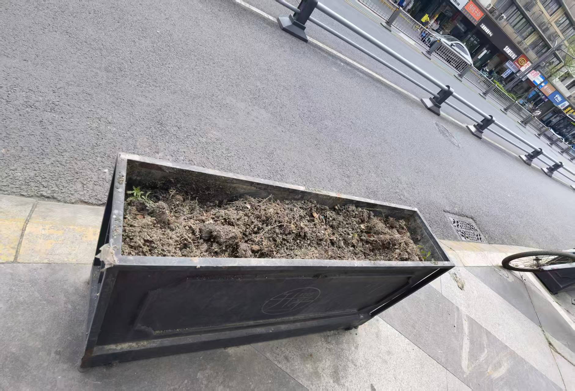 花卉栽培植物对比图