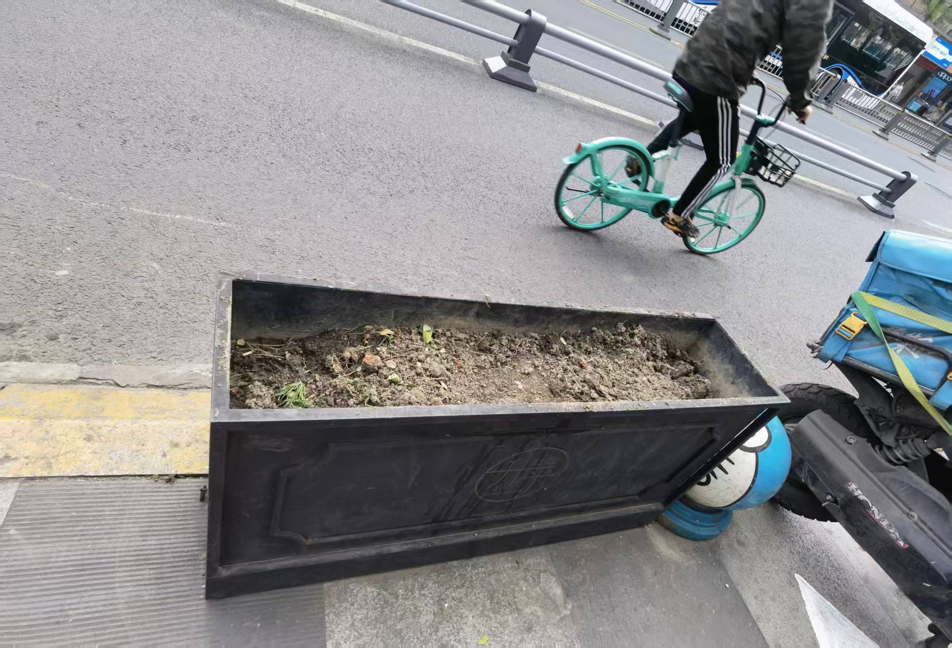 花卉栽培植物对比图