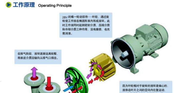 2BV 系列水环式真空泵