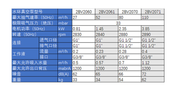 2BV 系列水环式真空泵