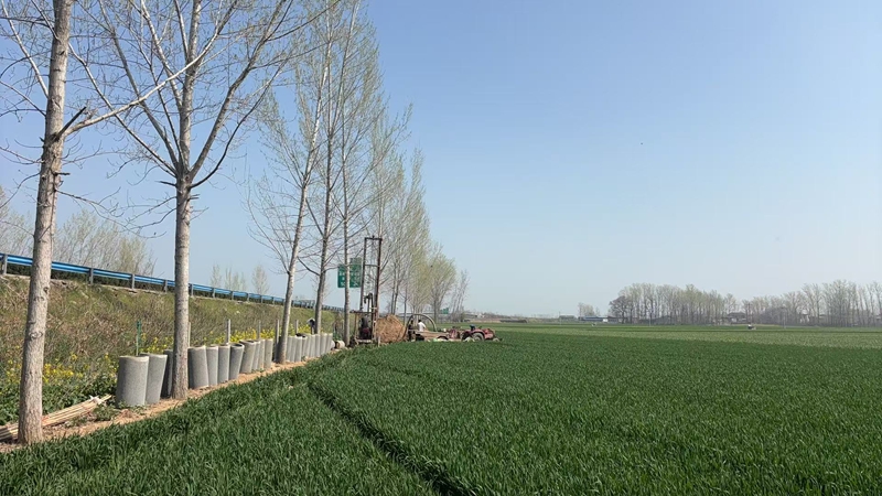 1774665945365740.jpg 开封打井