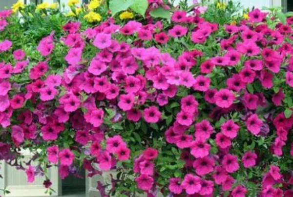 1774680444296131.jpg 陕西文华建筑景观工程有限公司