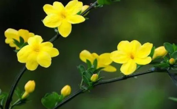 1774680451240807.jpg 陕西文华建筑景观工程有限公司