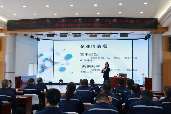 陕西培合文化艺术研究院