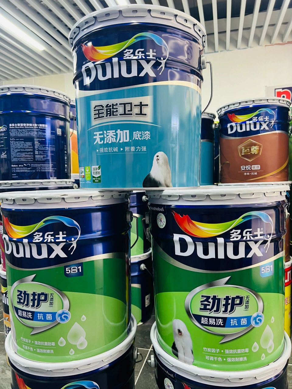 多乐士