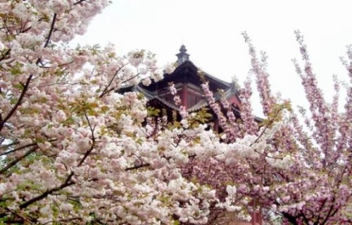 陕西文华建筑景观工程有限公司