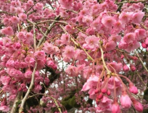 陕西文华建筑景观工程有限公司