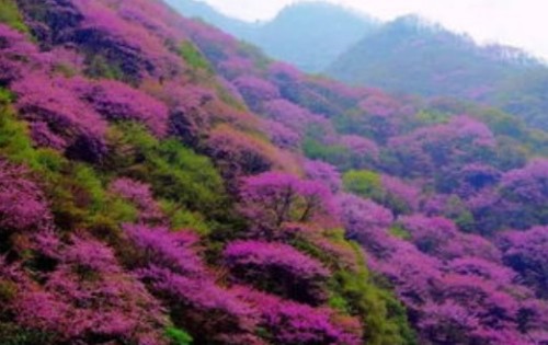 陕西文华建筑景观工程有限公司