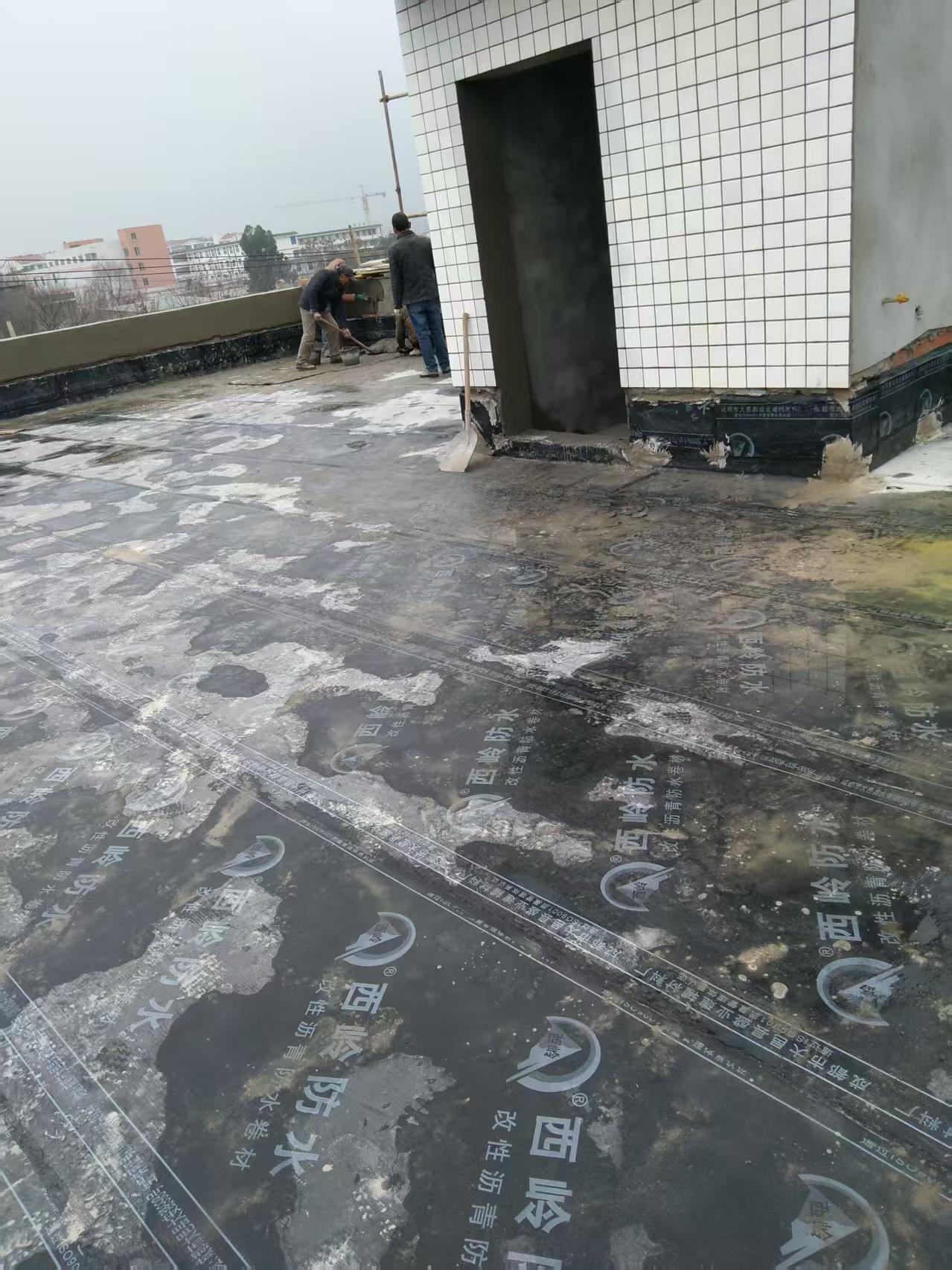 驷马桥铁路枢纽外墙涂料和屋面防水