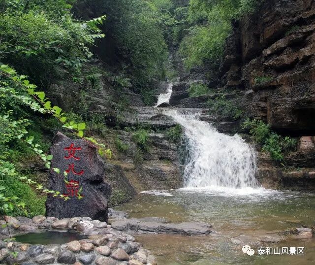 森林滑道