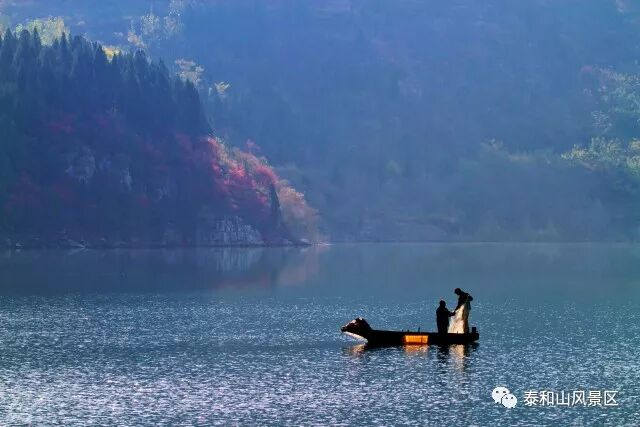 寻梦黄花溪