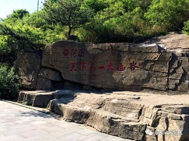 寻梦黄花溪
