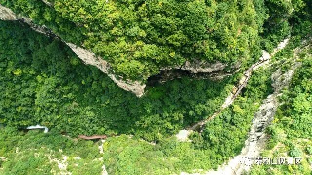 寻梦黄花溪