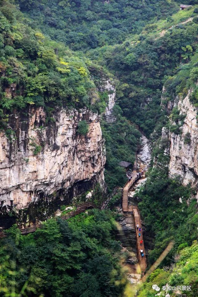 寻梦黄花溪