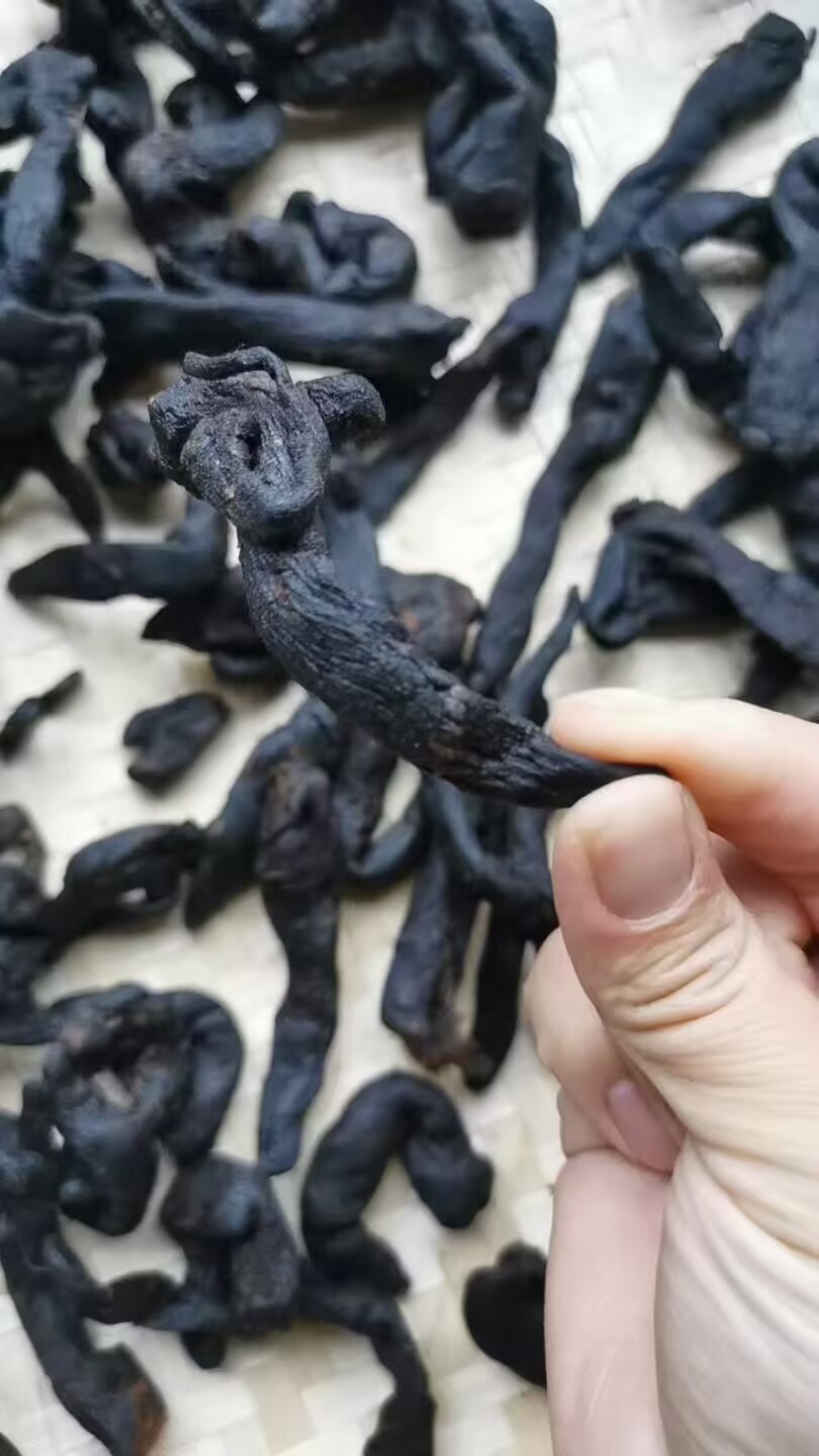 古州