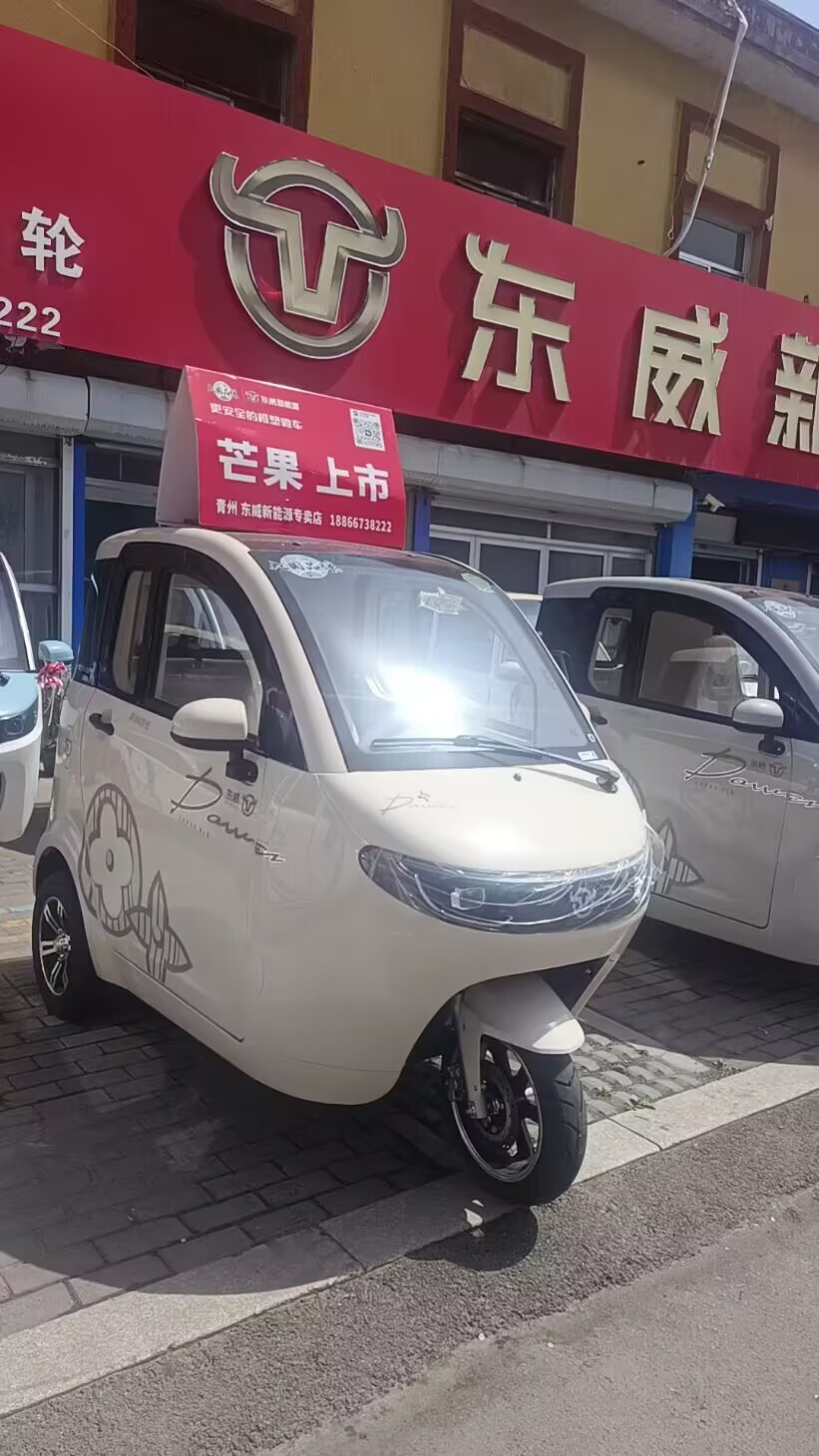 电动车