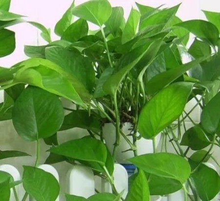 陕西文华建筑景观工程有限公司