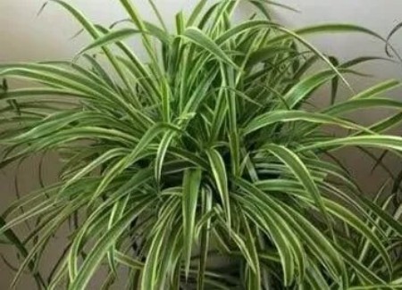 陕西文华建筑景观工程有限公司