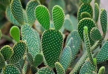 陕西文华建筑景观工程有限公司