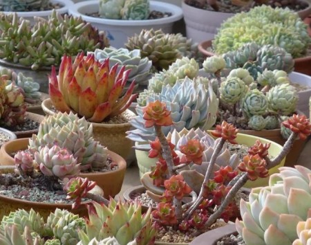 陕西文华建筑景观工程有限公司