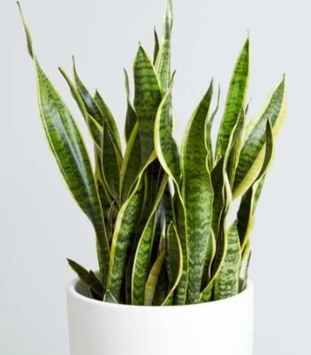 陕西文华建筑景观工程有限公司