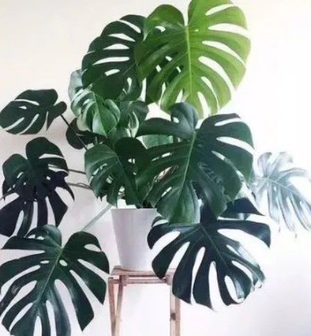 陕西文华建筑景观工程有限公司