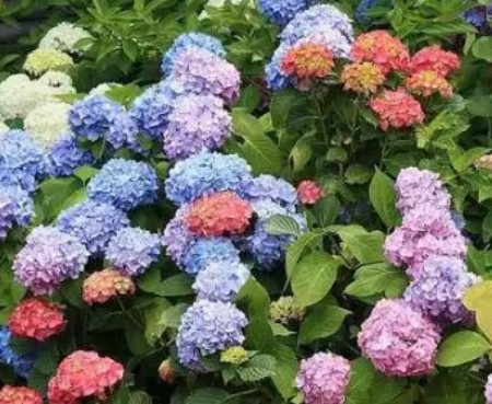 陕西文华建筑景观工程有限公司