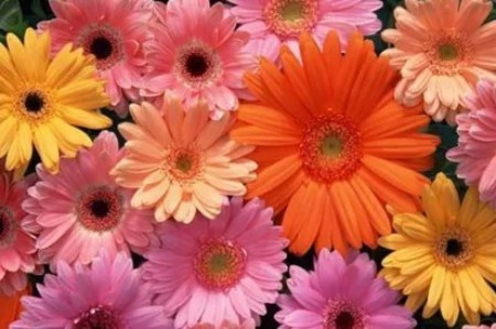 陕西文华建筑景观工程有限公司