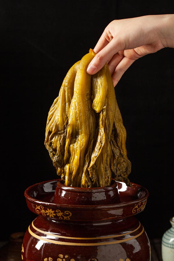 泡青菜