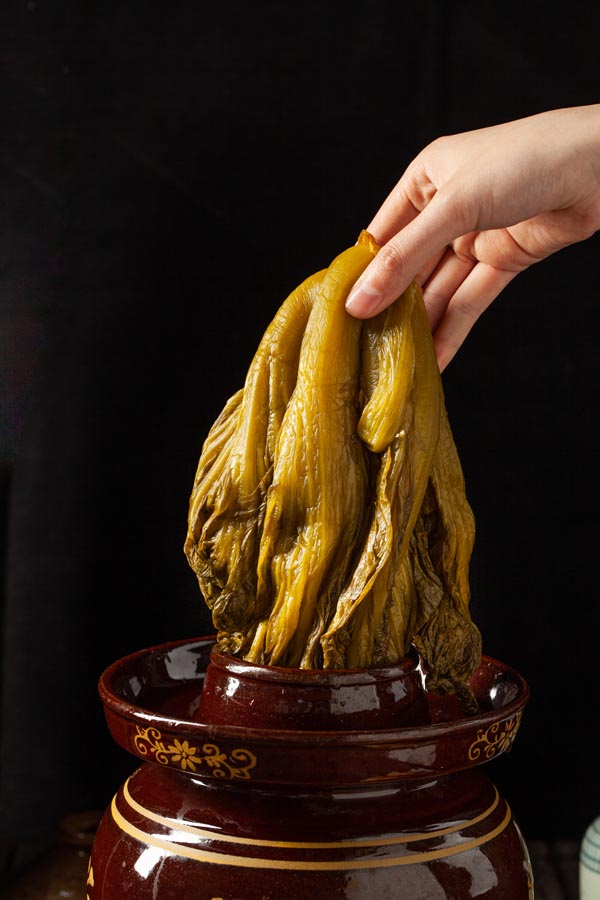 泡青菜
