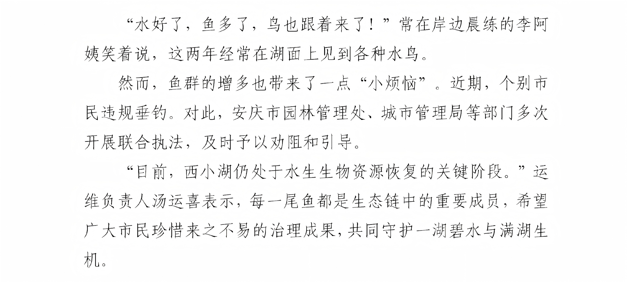 西小湖