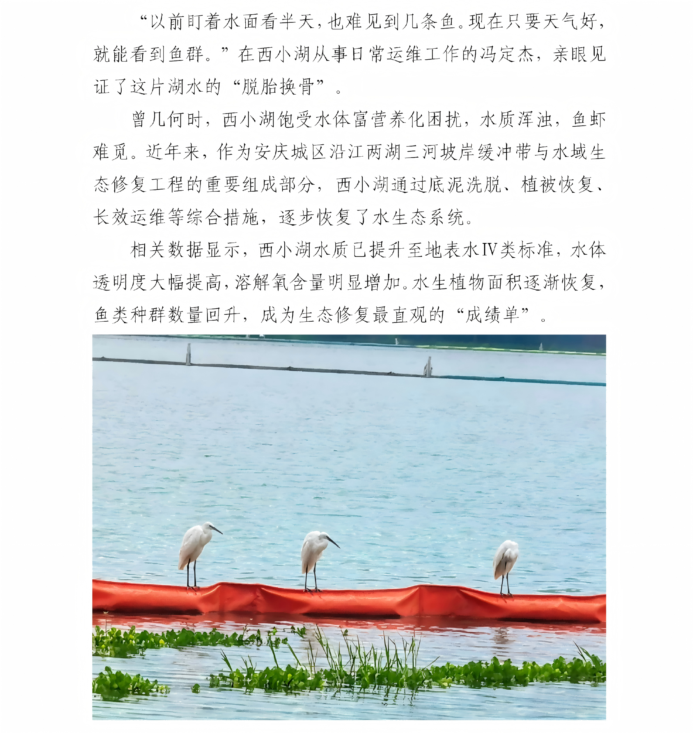 西小湖