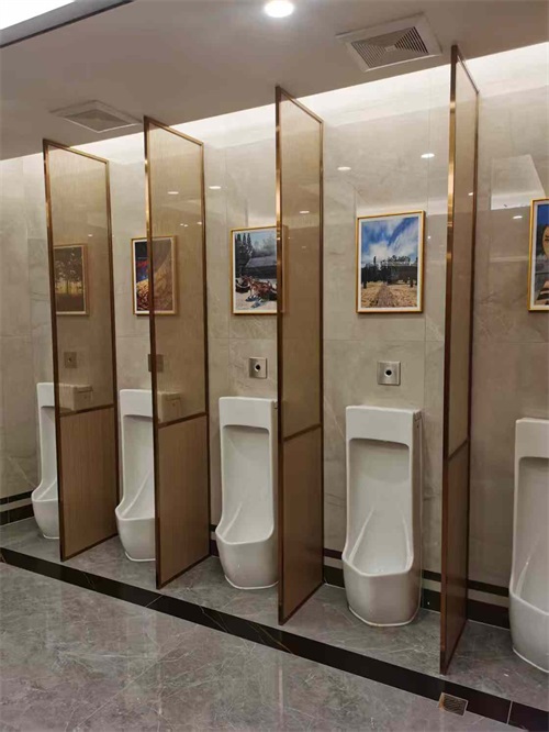 卫生门夹丝玻璃隔断