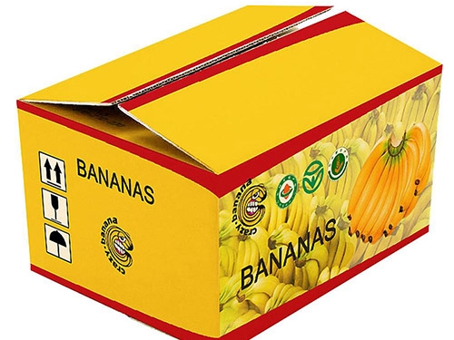 纸箱多少钱一个？