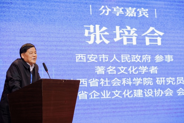 陕西培合文化艺术研究院
