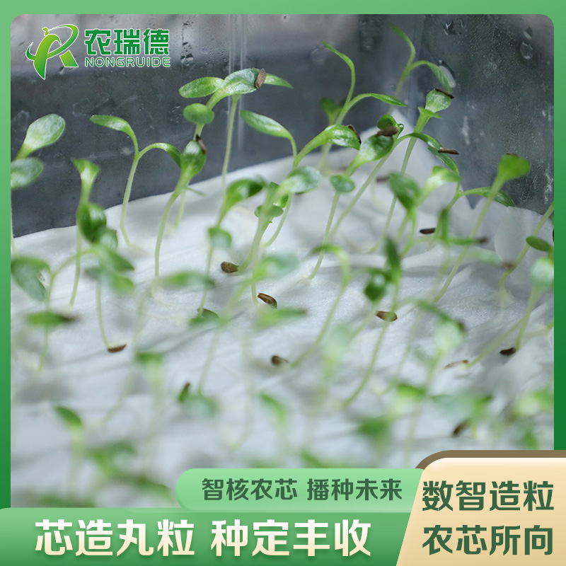 种子丸粒化
