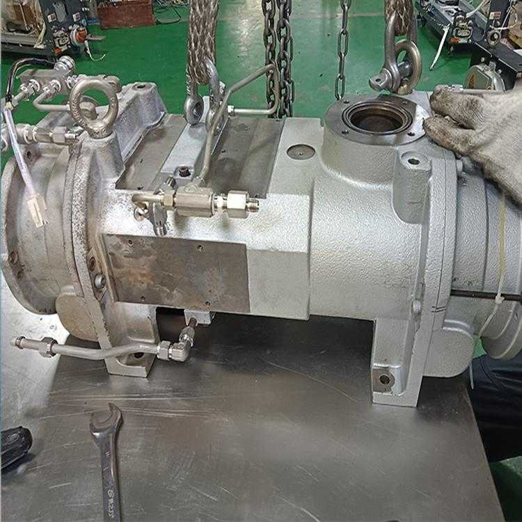 卡西亚玛SDE1220泵维修