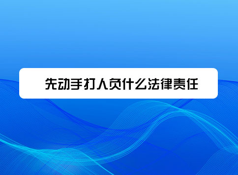 先动手打人负什么法律责任？