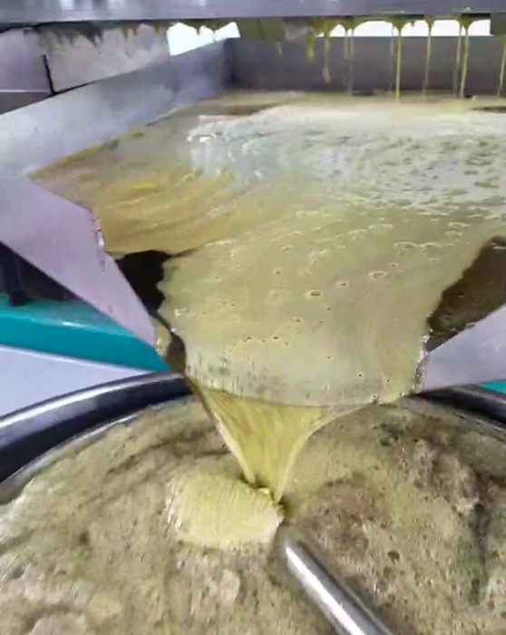 榨油技术交流峰会