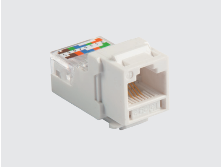 RJ11插座模块（4芯）NPL5.566.2006