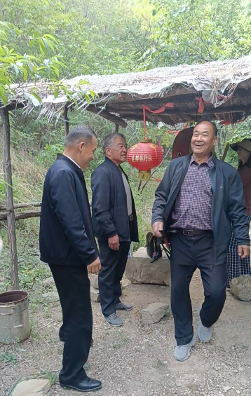 书画