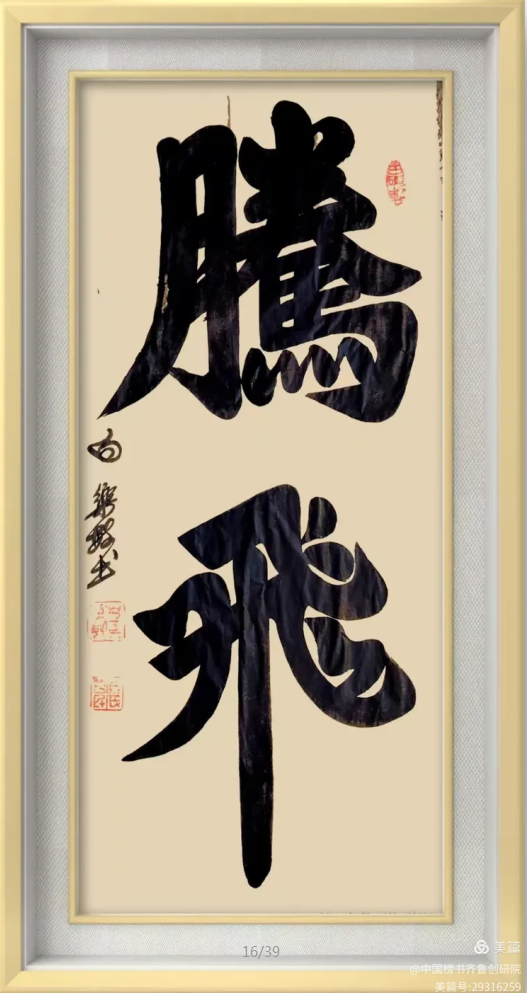 白乐敏老师