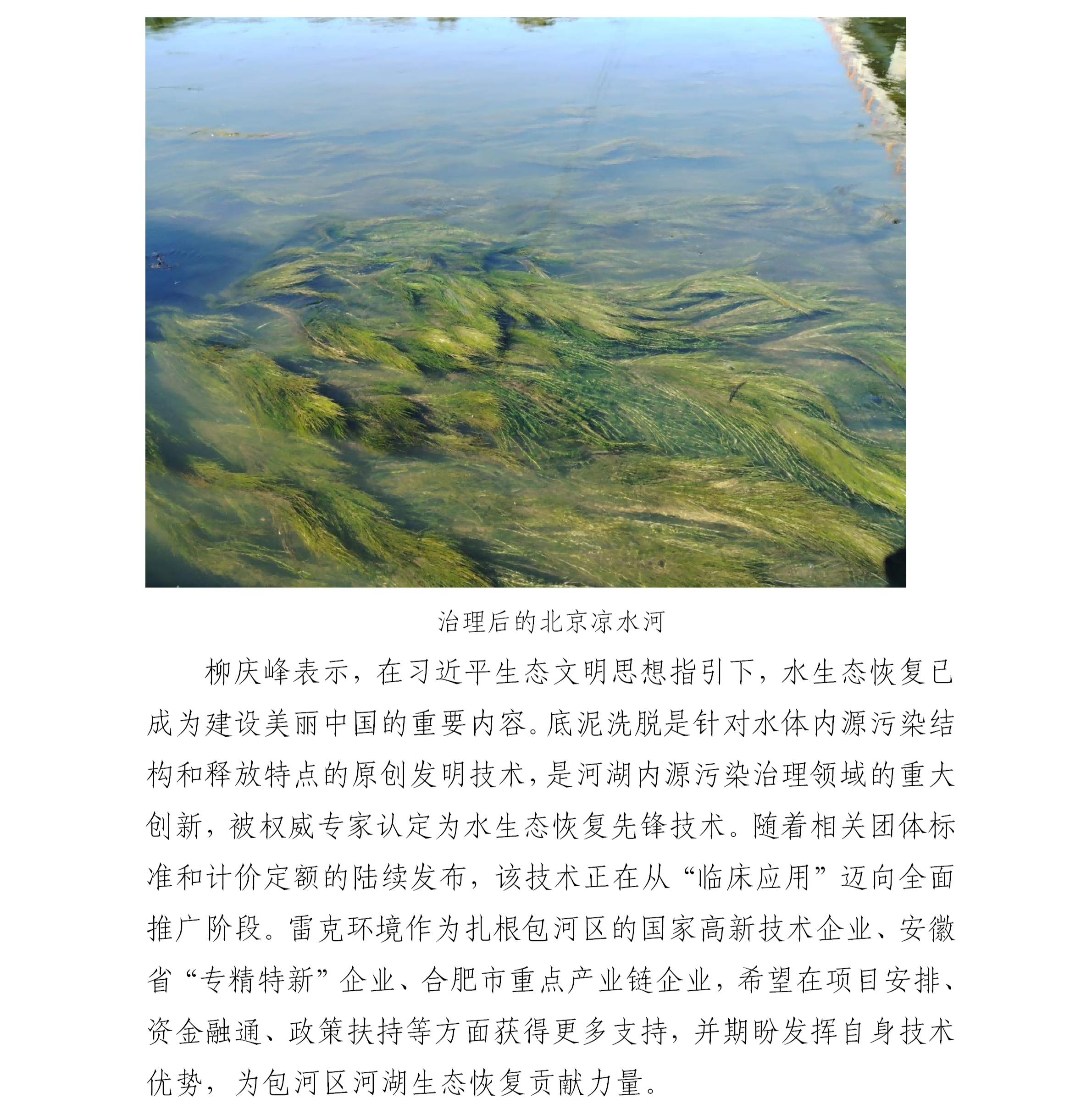包河区
