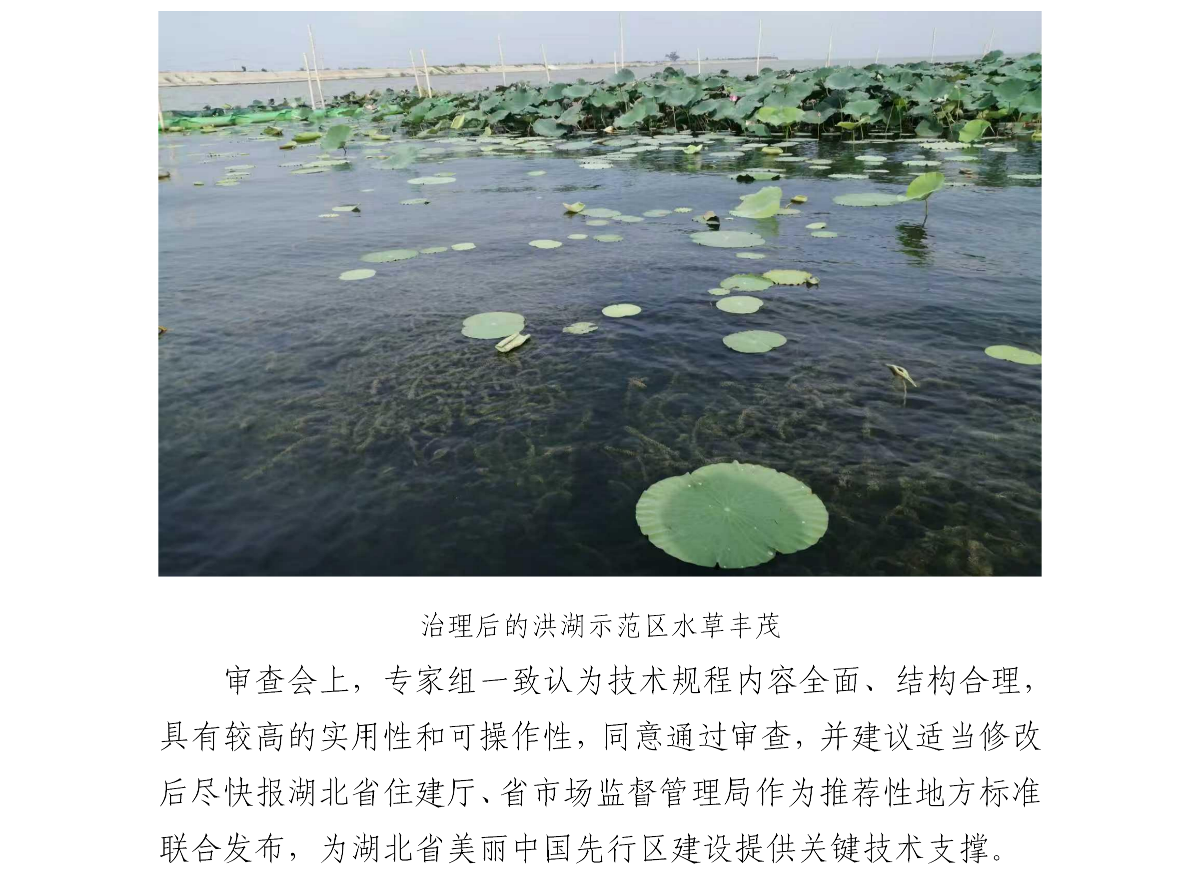 湖北