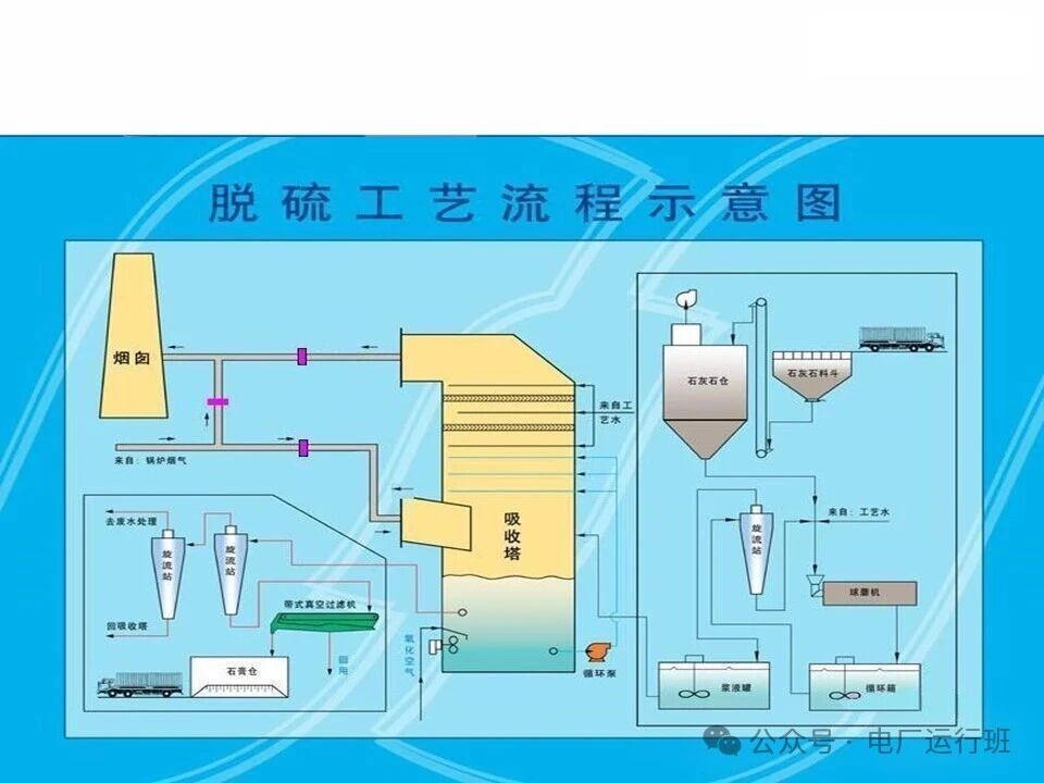 威海真空皮带脱水机
